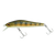 Воблер ZipBaits Rigge 56F 2.8г 851 Natural Yamame